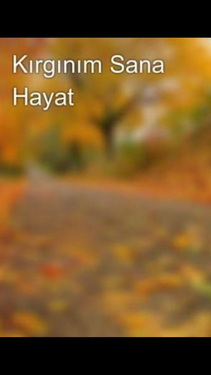 Даша модель юрист голая Киев