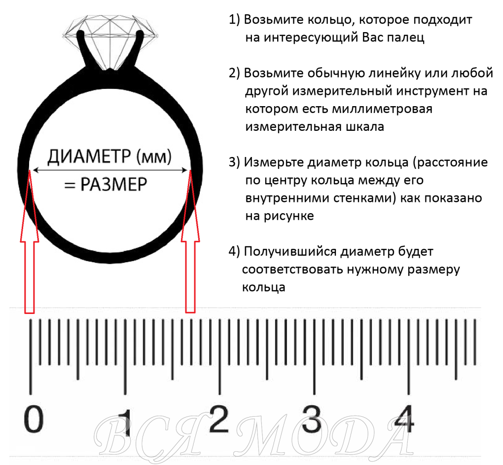 Женские киски крупным планом