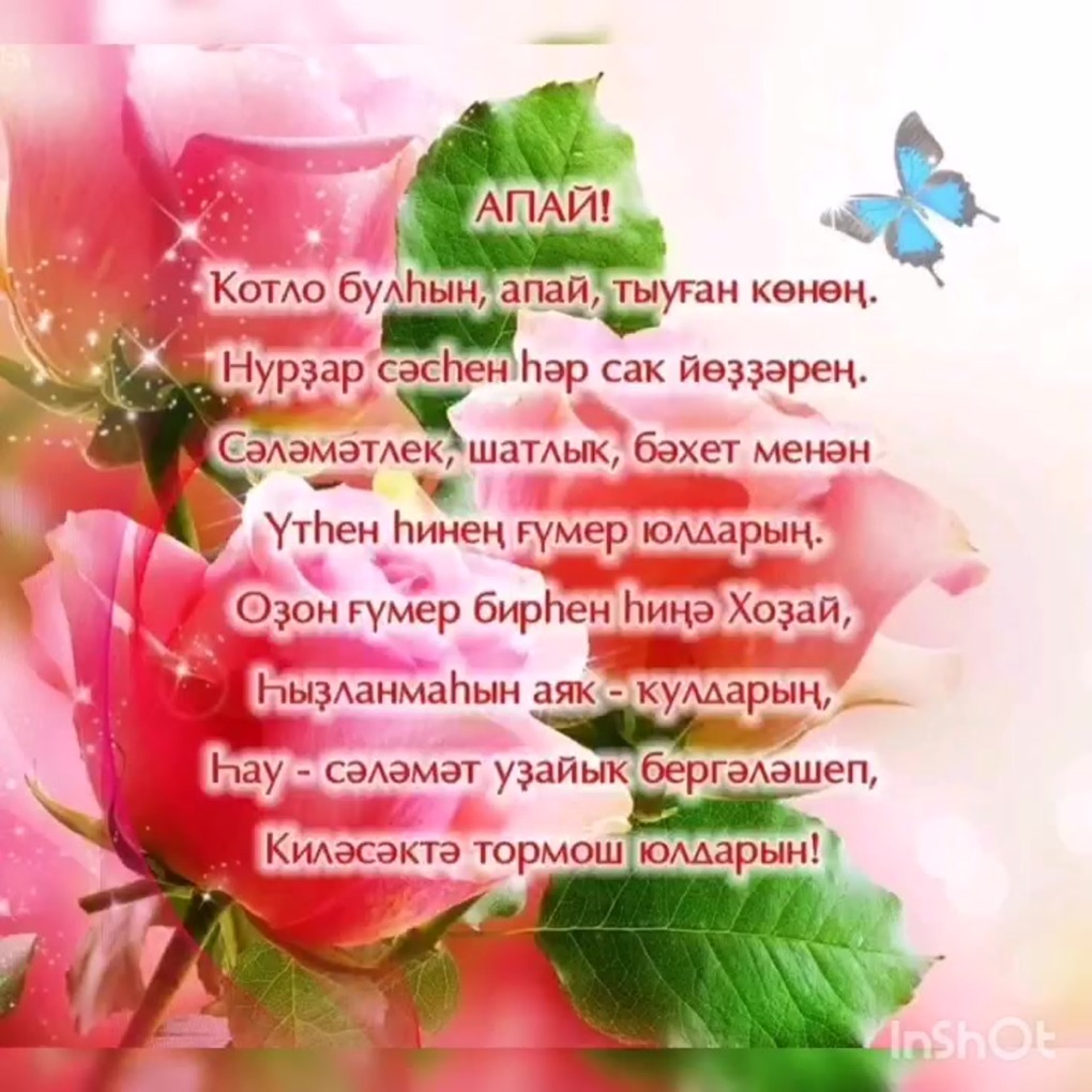 Асель Садвакасова позорная