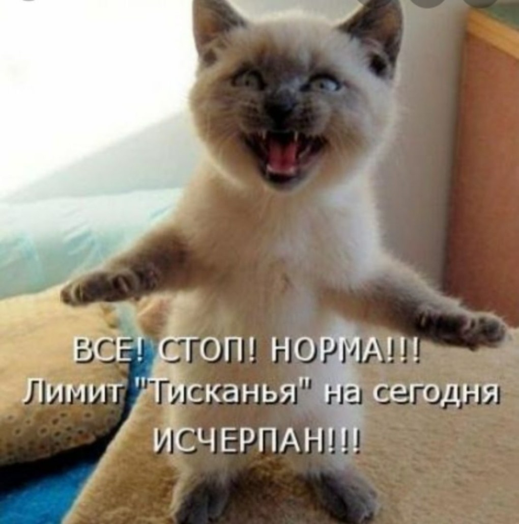 Мужчина должен зарабатывать