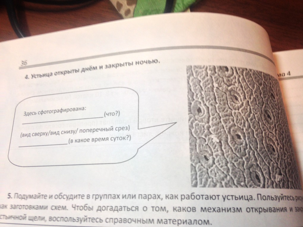Швы для сшивания вязаных изделий