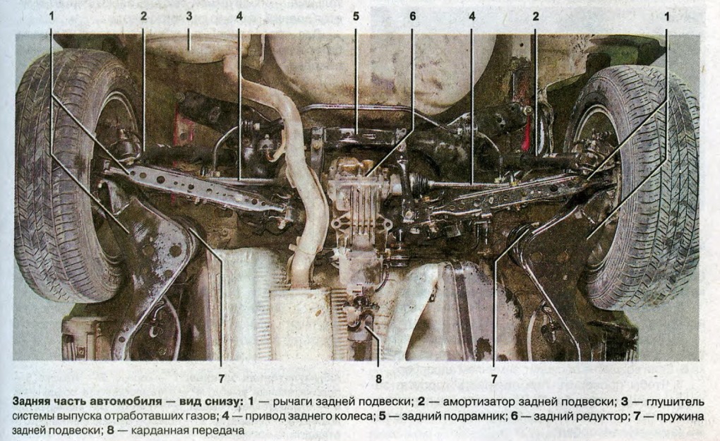 Толстые волосатые в трусах
