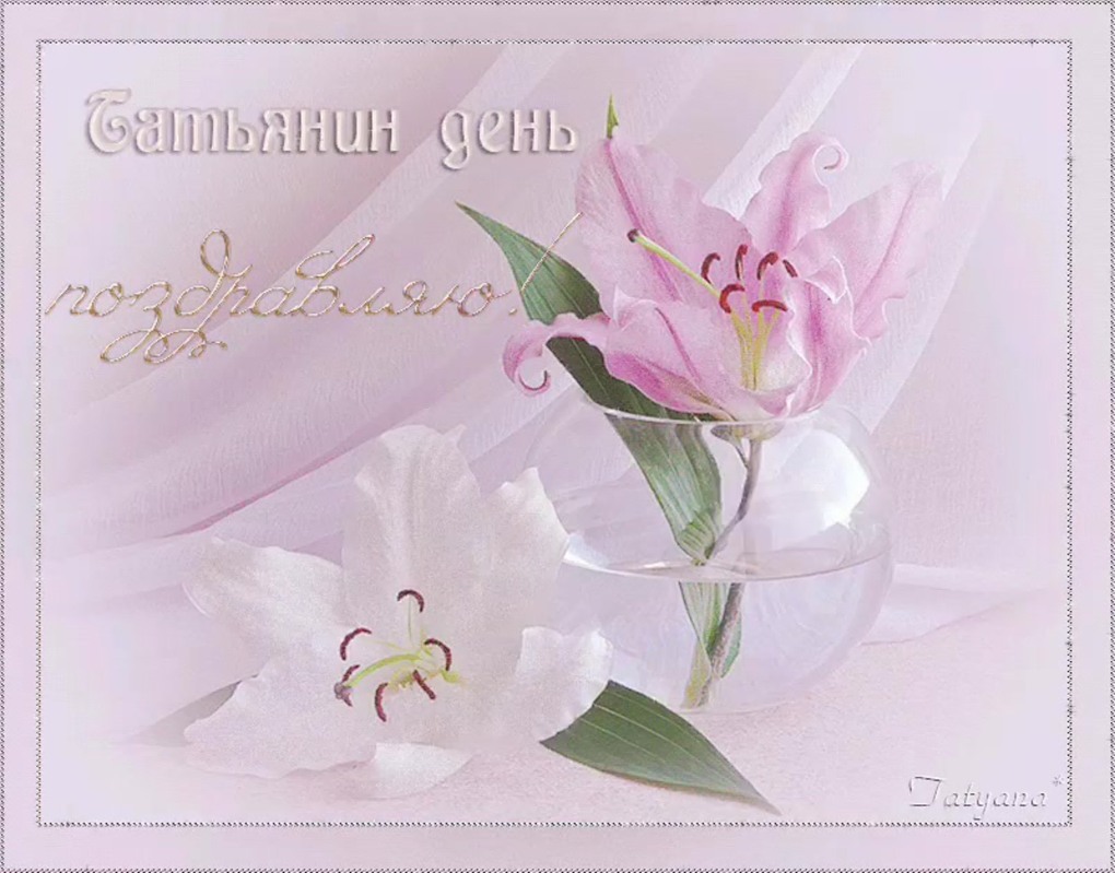 Schlampe