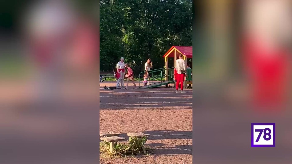 Картинки Джела