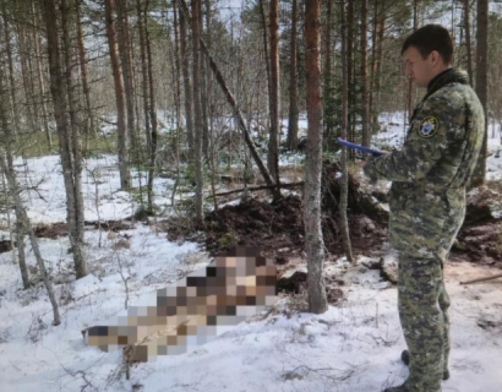 Музей в Пикалево