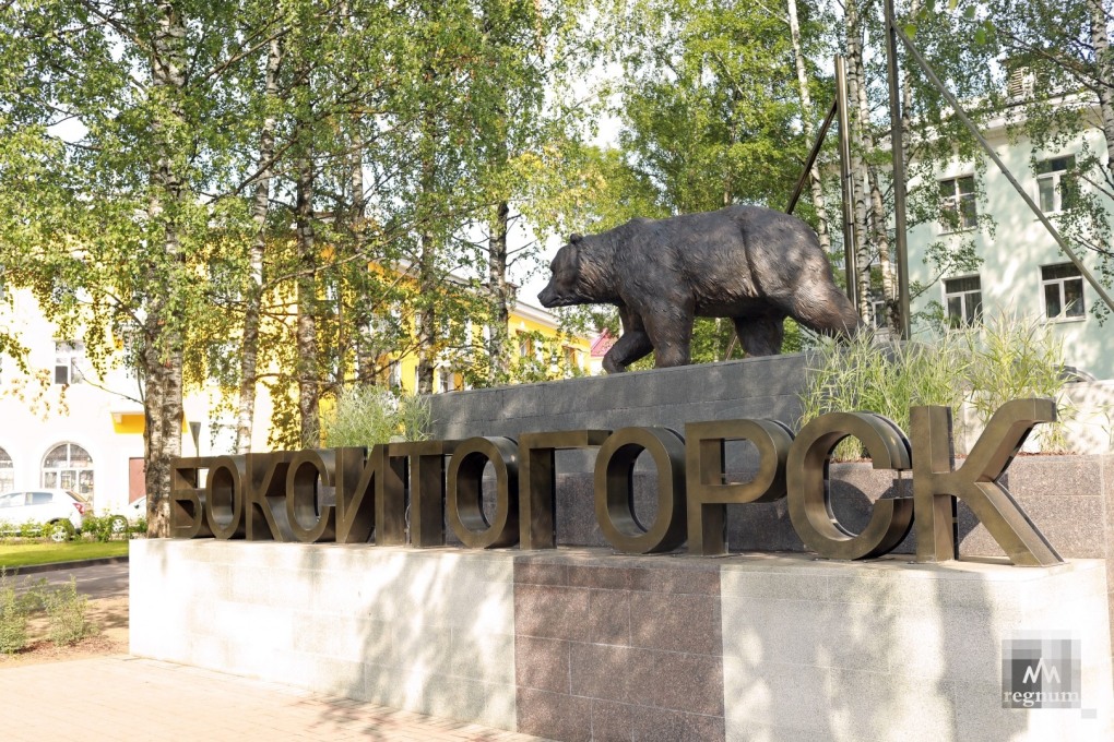 Бокситогорск Крутик