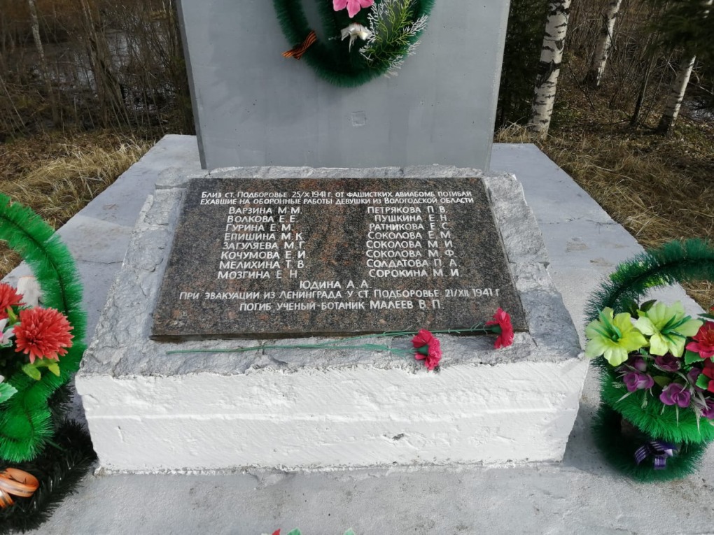 Озеро Фонтанка Бокситогорск
