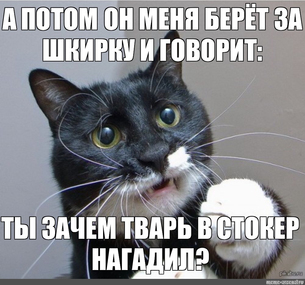 Коты и елка демотиваторы
