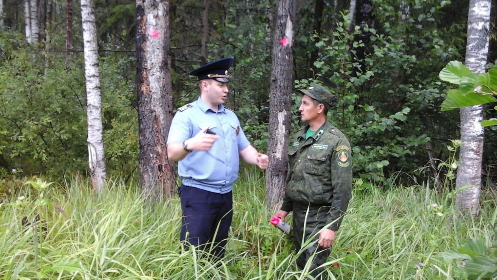 Талдом Лыжня