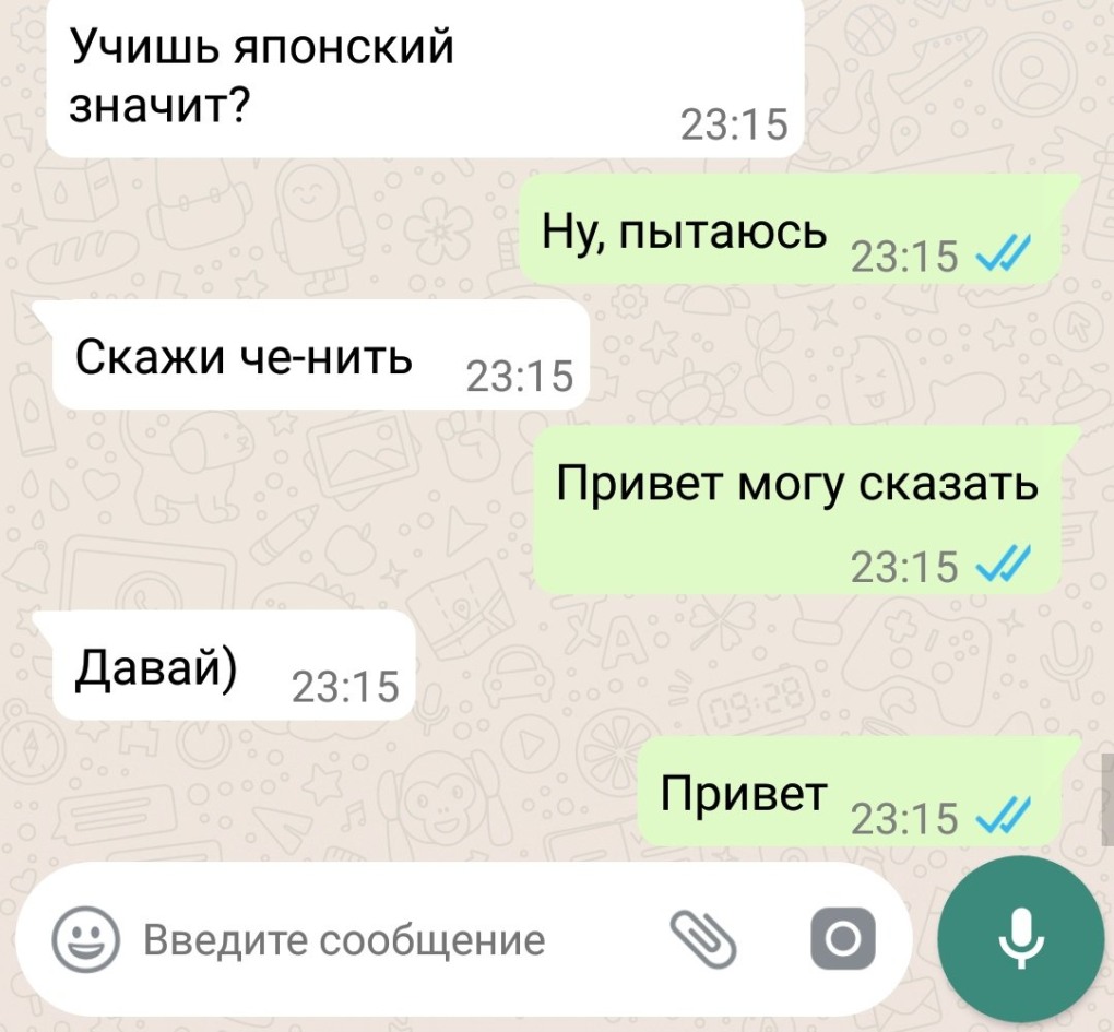 Вирт чат ГУ