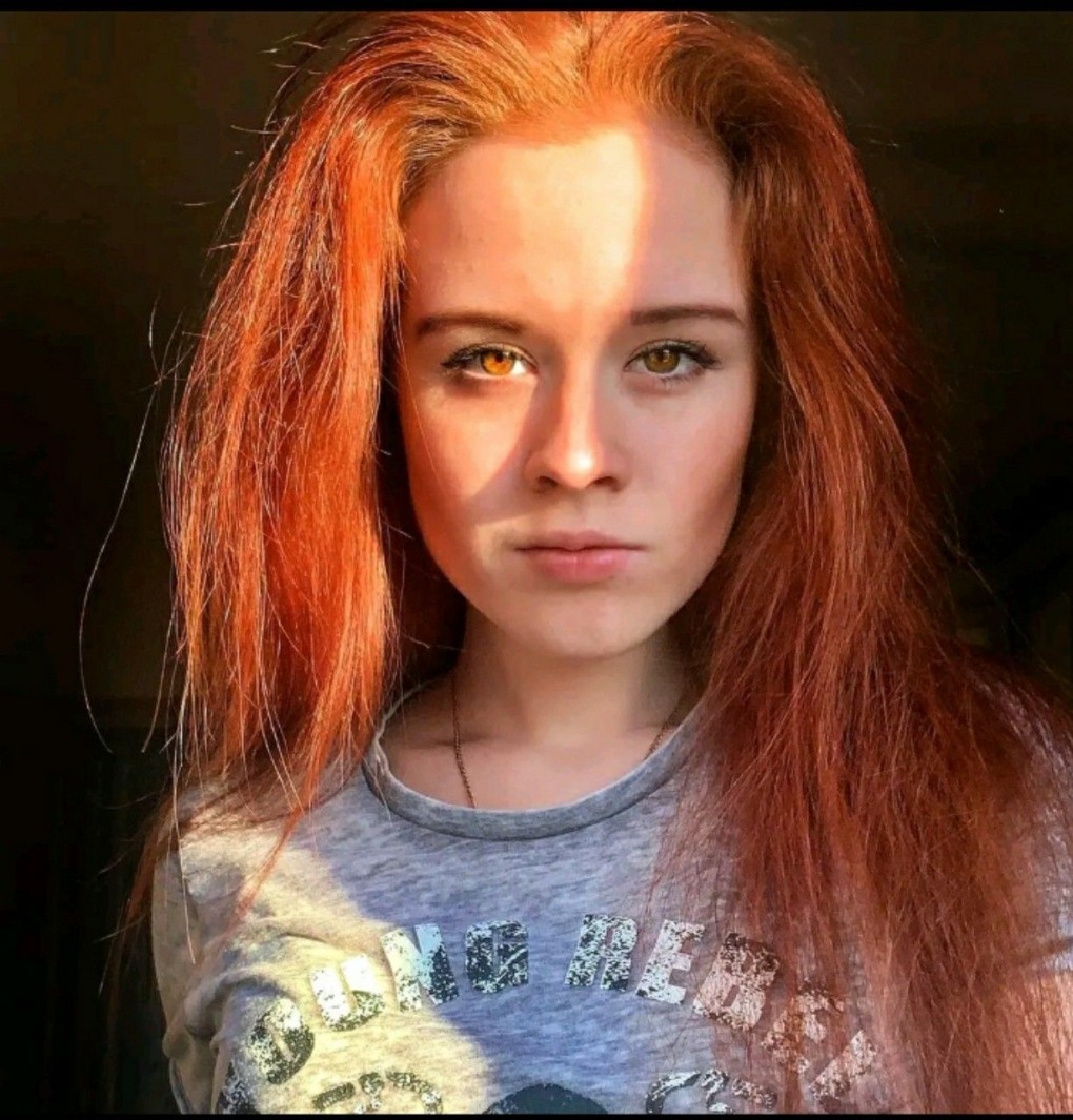 Рыжик Дрим тим