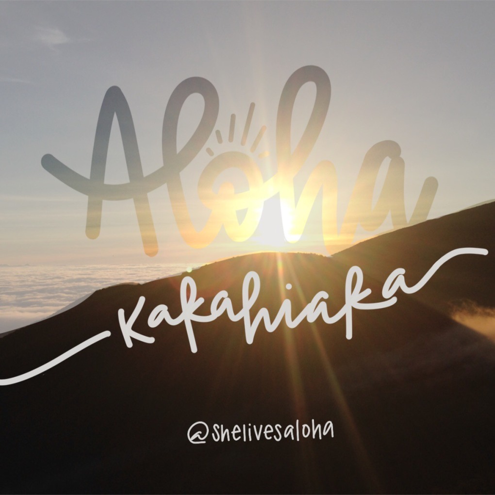 Пляжная вечеринка АЛОХА