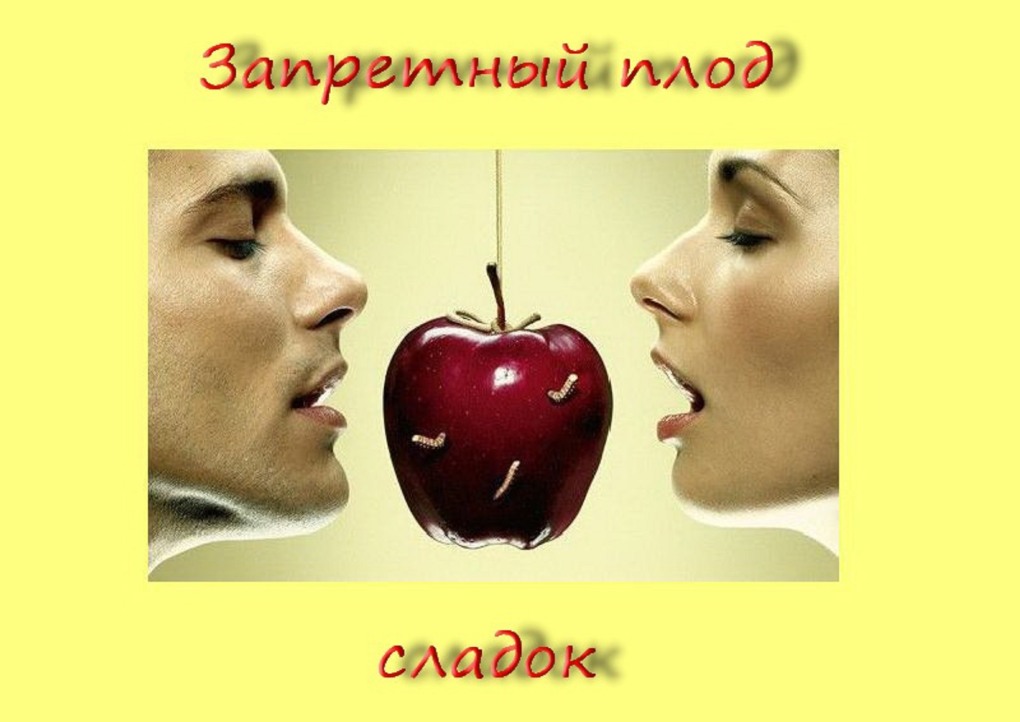 Мой единственный