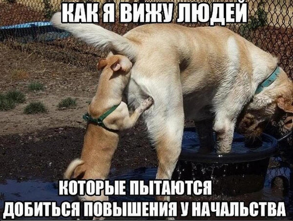 Живу один третий час ночи стук в дверь открываю стоит соседка