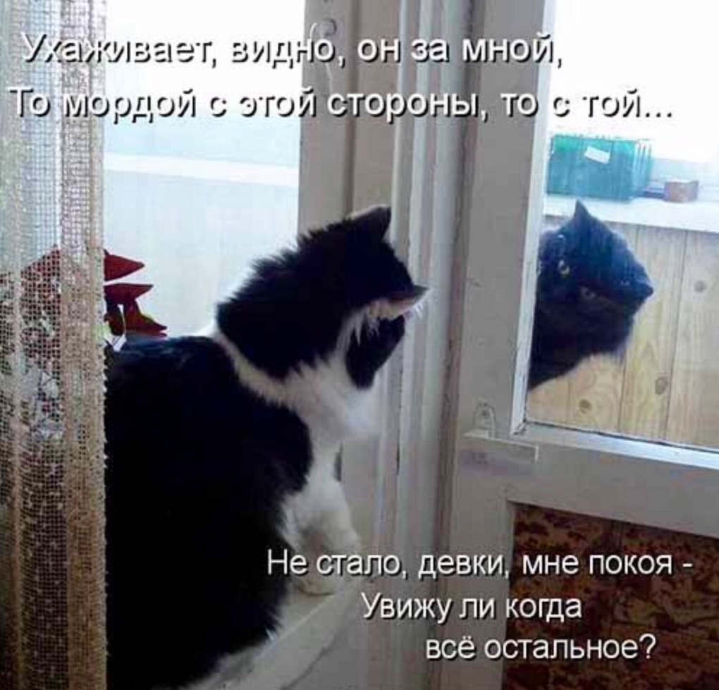 Мем Бог уступает свое место