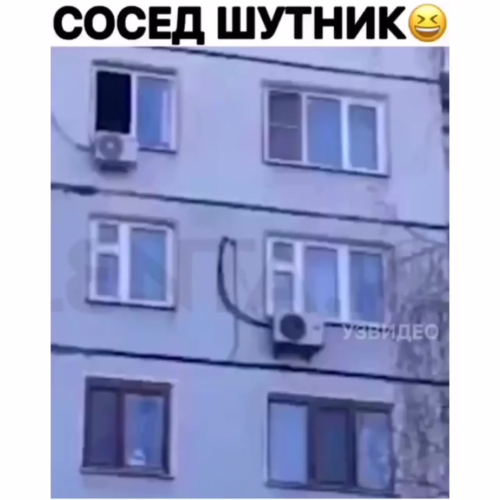 Клянусь тапки сами