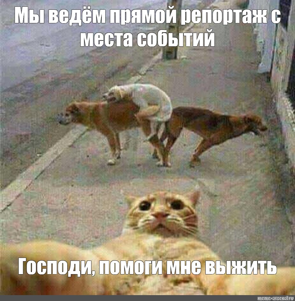 Карл Клару склонил к оралу