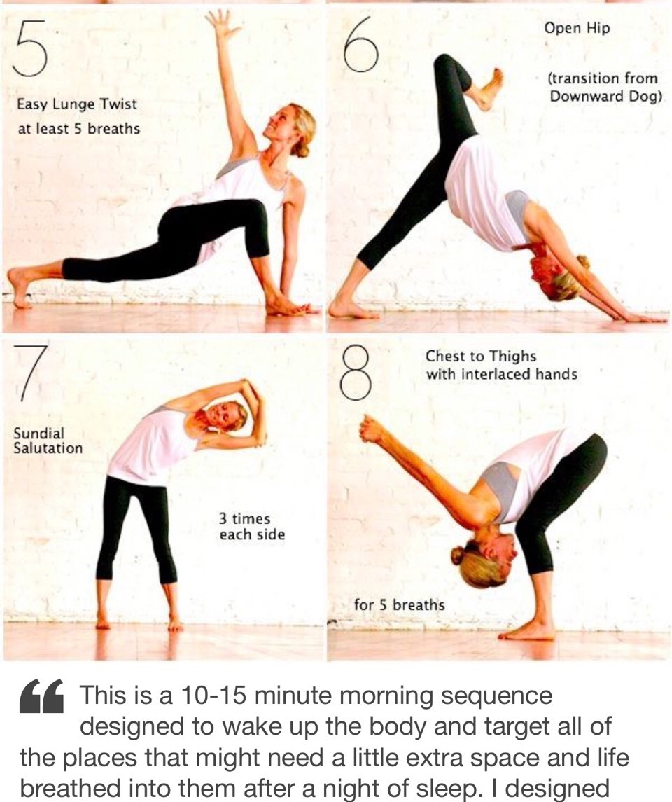 Поза собаки мордой вниз в йоге как правильно делать