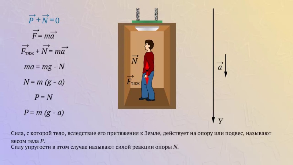 Скелет человека подписанный сзади и спереди