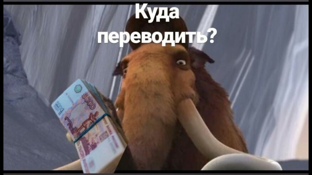 Брюнетка слив домашнее