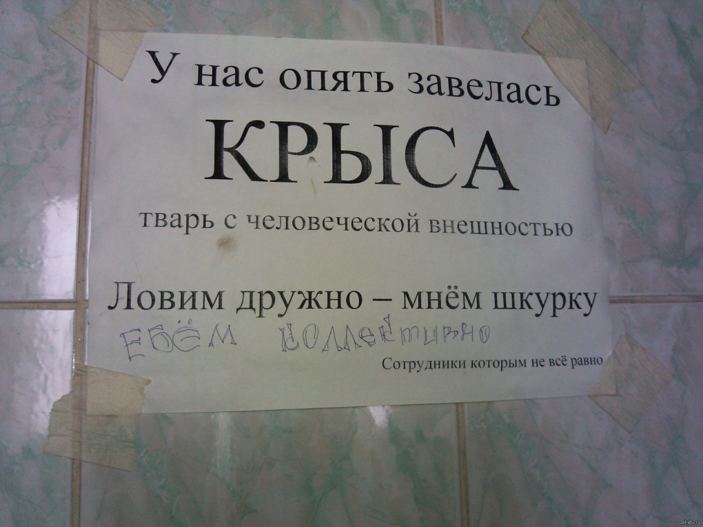Елена корнюшонкова Конаково