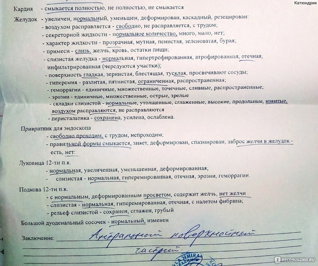 Мамонт Мем