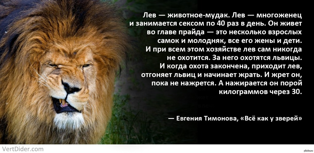 Дима Нагиев Мем