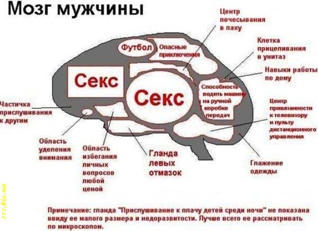 Шутки про дружбу мужчины и женщины
