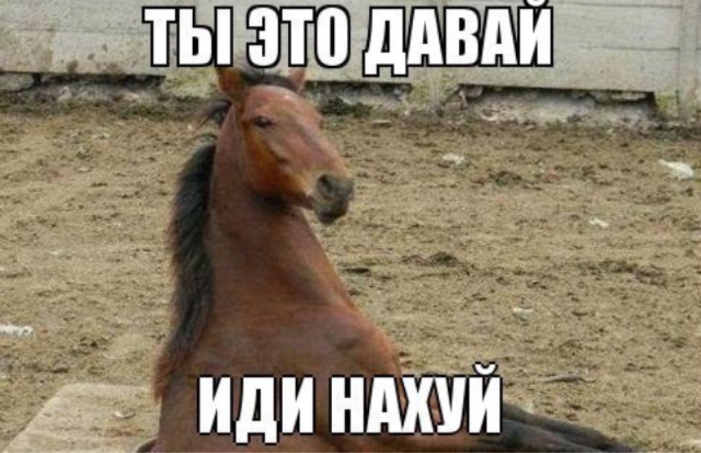 Регина Тодоренко на пляже в купальнике