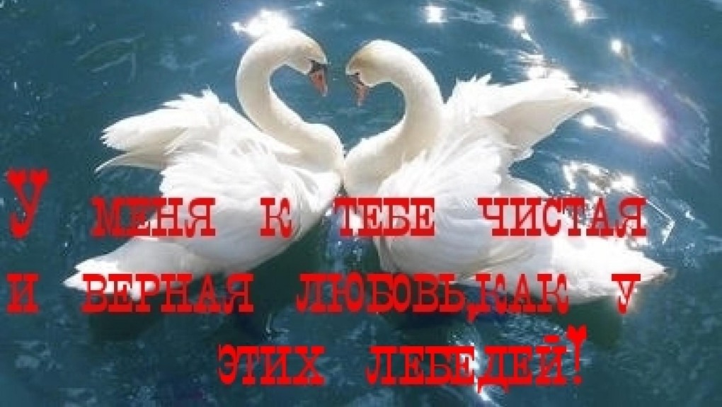 Имя будущего мужа