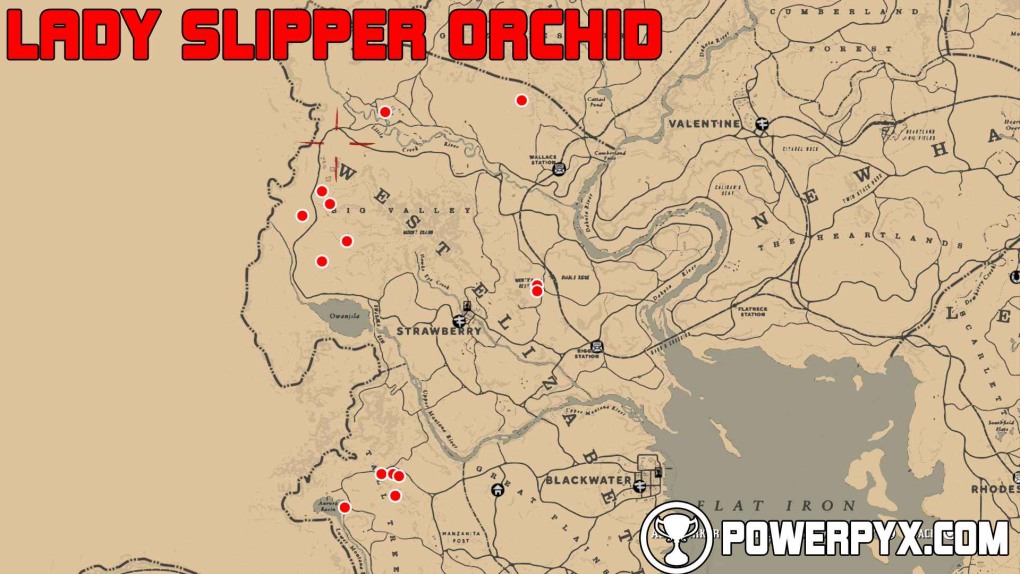 Red Dead Redemption 2 карта орхидей