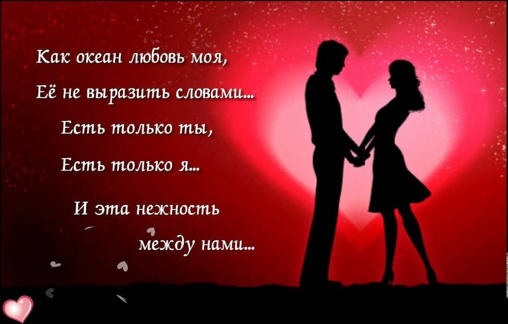 Наташа и коты
