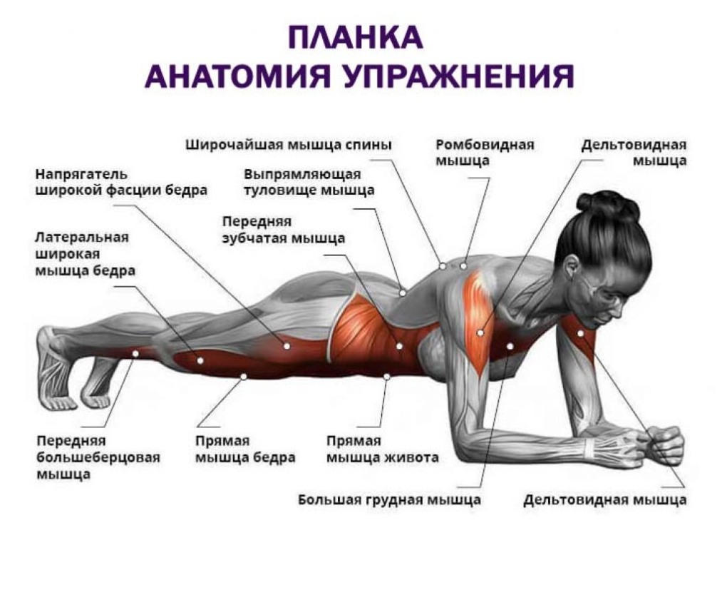 Шрек Фиона Фиона папа Гарольд