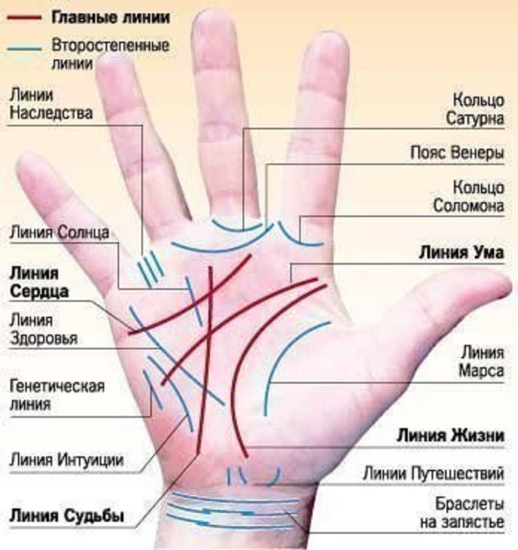 Питание при гастрите желудка