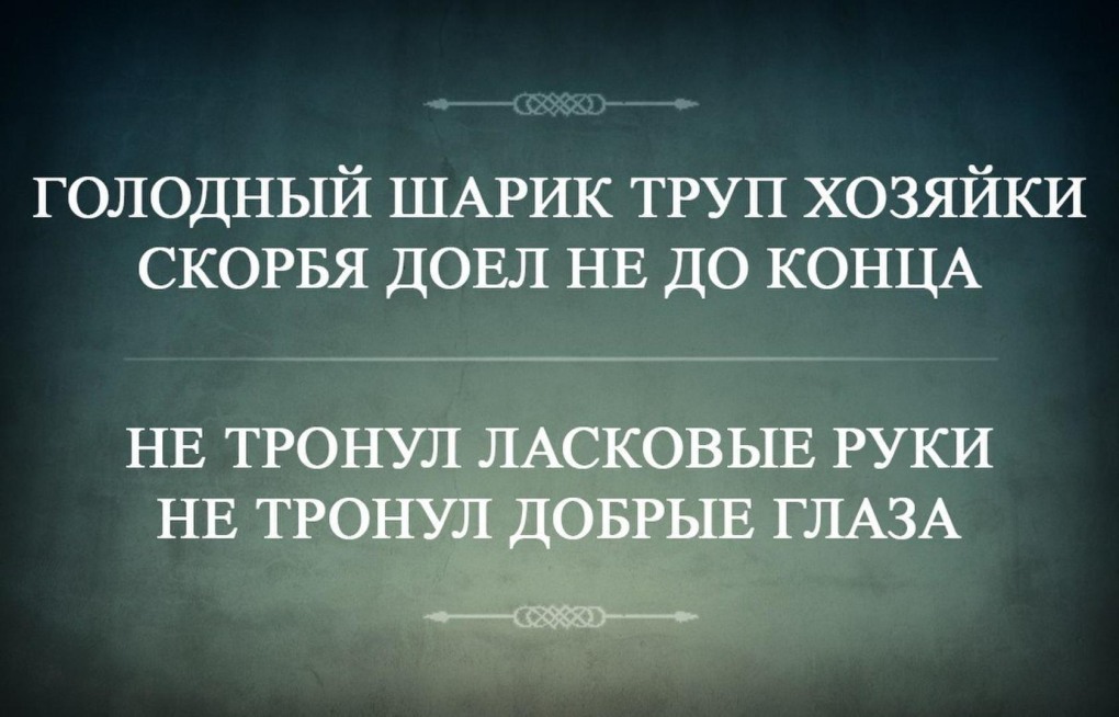 Шутки про бухгалтеров
