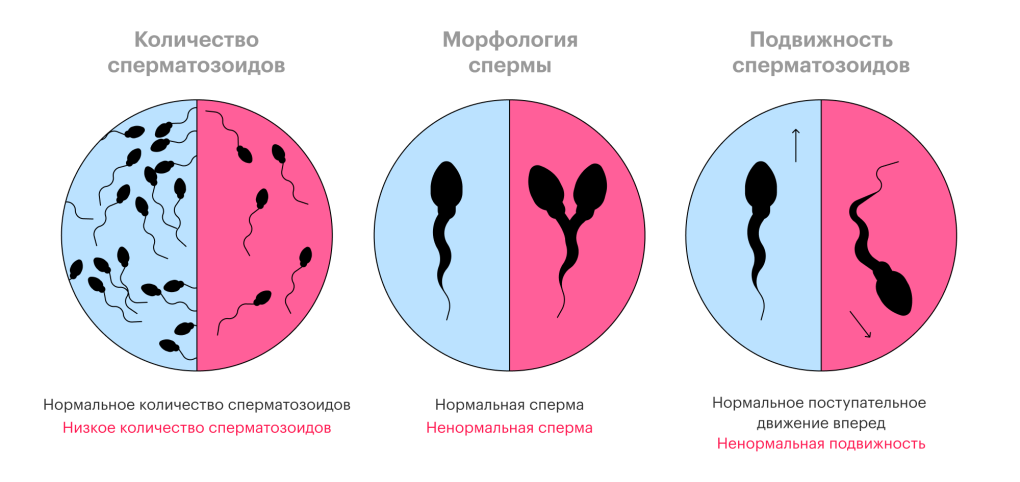 Ана и Ксюша