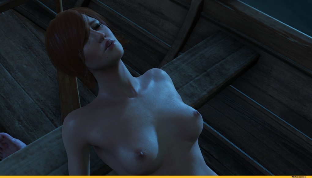 Ведьмак Владычица озера хентай