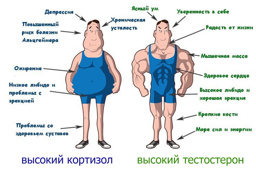 Ксюша надпись