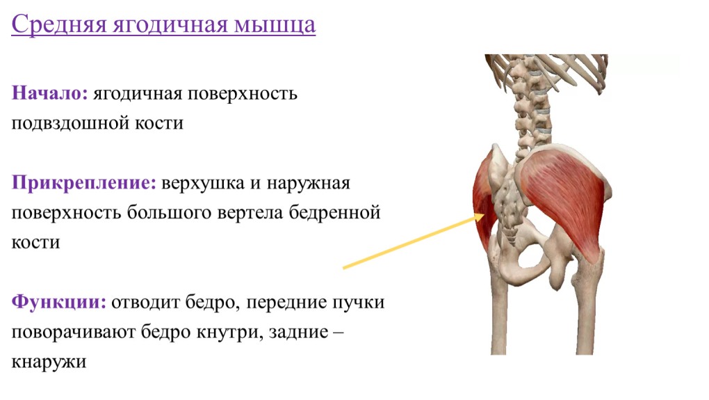 Метастазы в тазобедренном суставе рентген
