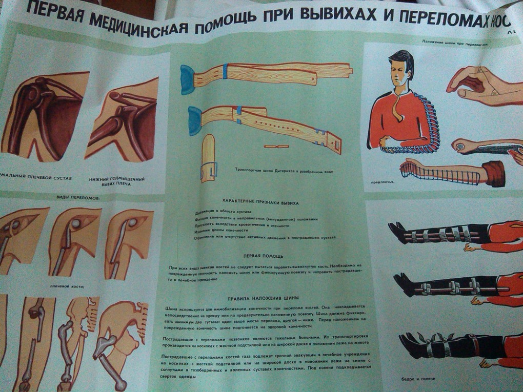 Подчревное сплетение анатомия