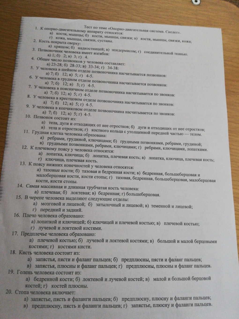 Анатомия костей таза собаки