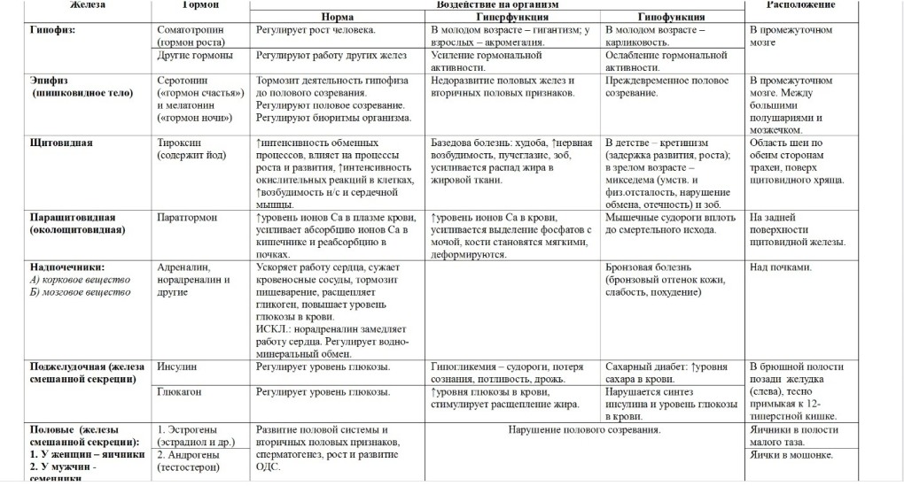 Правильное положение таза