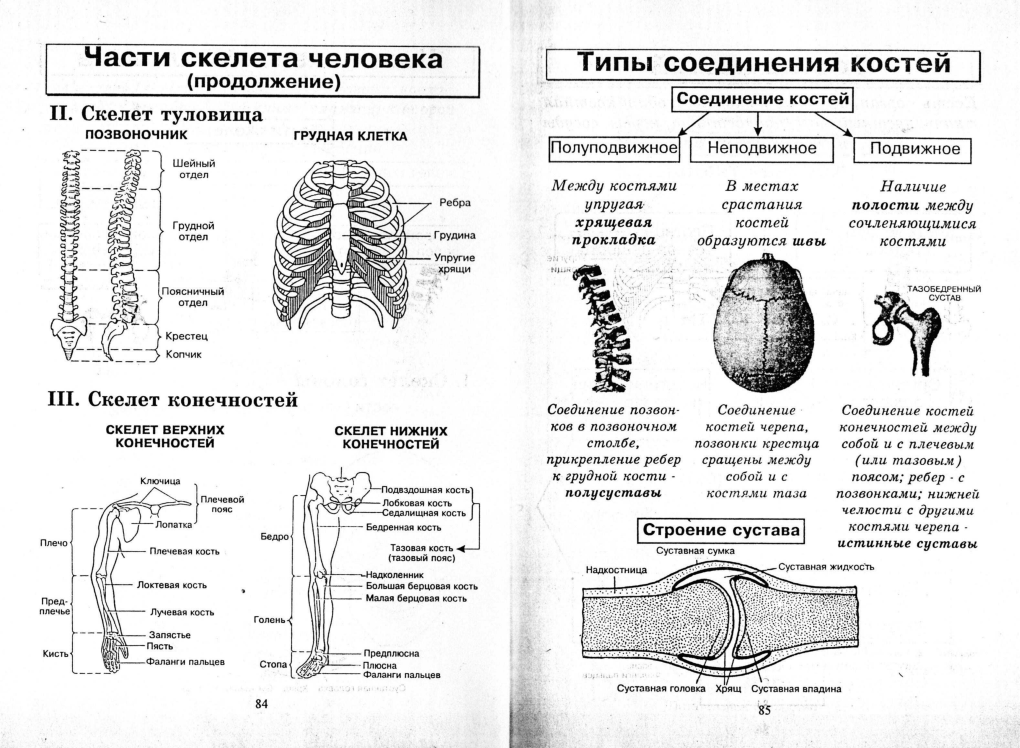 Прикольные статусы в картинках
