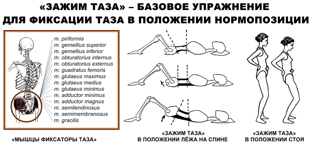 Широкие кости таза в порно
