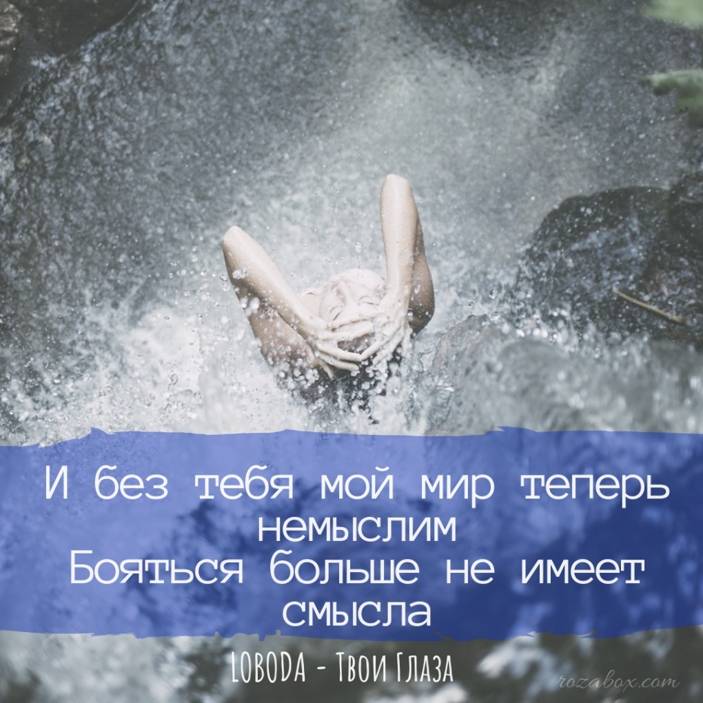 Лобода на единороге