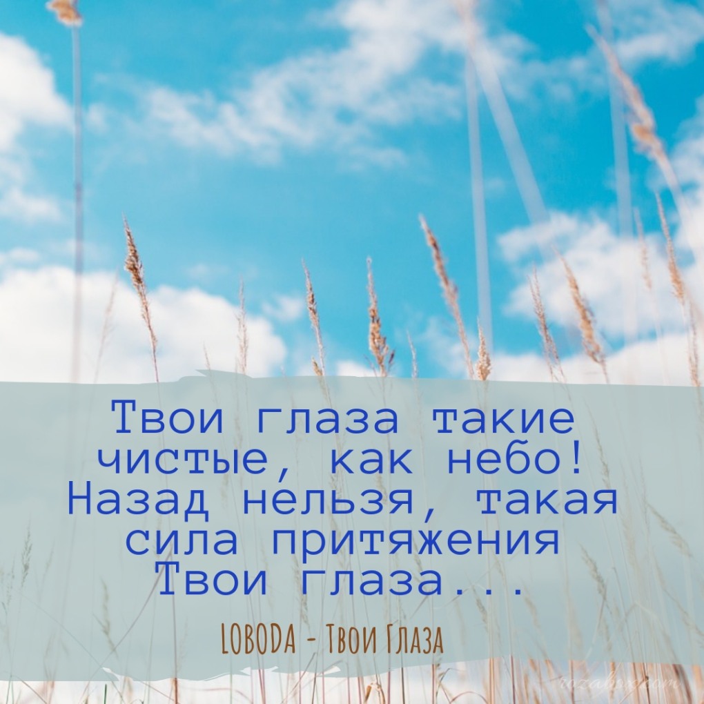 Лобода глаза
