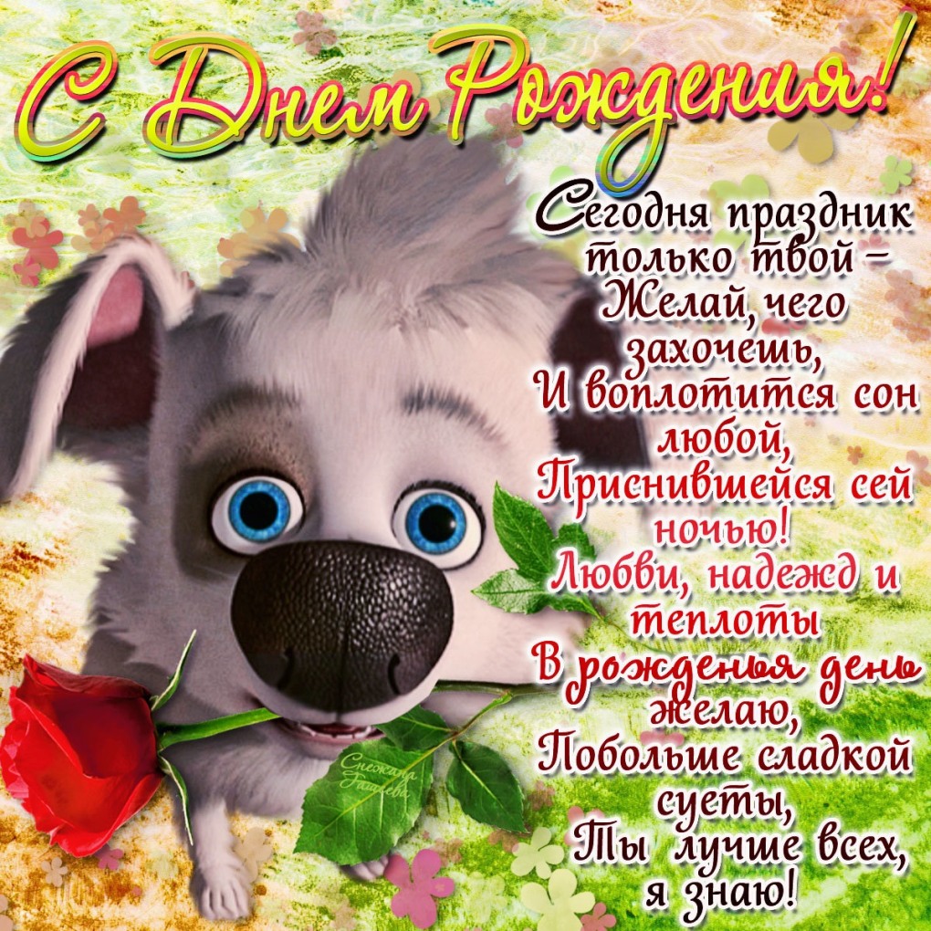КИД Мидория