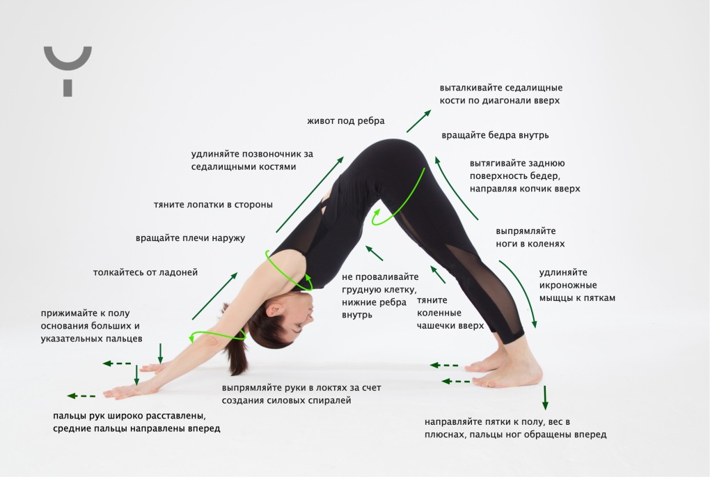 Собака мордой вниз хентай