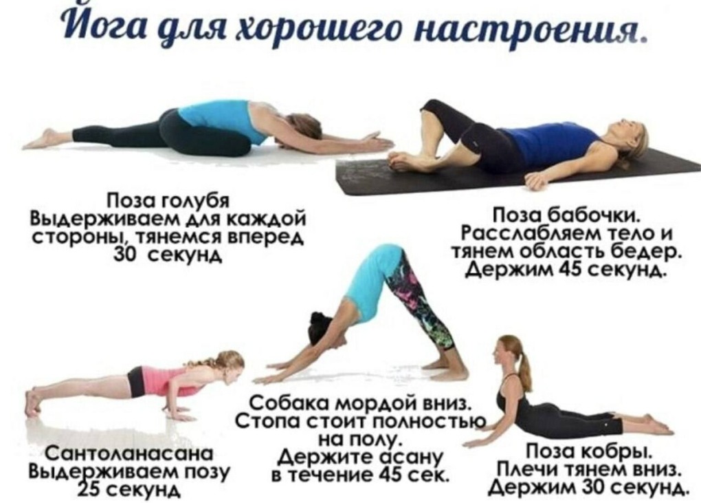 Красивые женщины в позе собачки