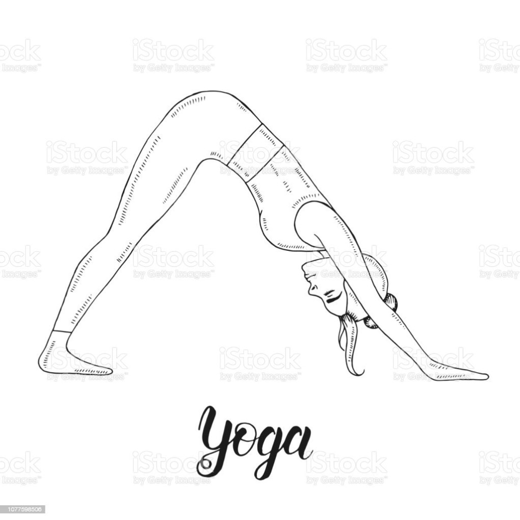 Собака мордой вниз